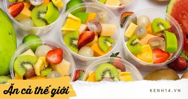 Top 7 Mẫu Trái Cây Tô Vuông Tròn Đẹp, Chất Lượng Dẫn Đầu Xu Hướng 2026