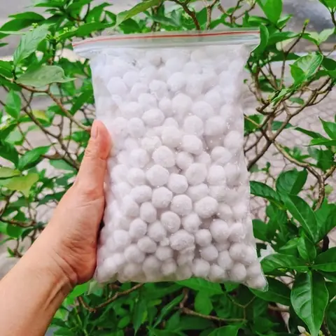 Đánh Giá Chi Tiết Trân Châu Nhân Dừa: Nên Mua Ở Đâu Để Đảm Bảo An Toàn Và Ngon Nhất? Đánh Giá Chi Tiết Trân Châu Nhân Dừa: Nên Mua Ở Đâu Để Đảm Bảo An Toàn Và Ngon Nhất?