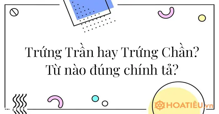 Trứng Chần Hay Trứng Trần: Sự Khác Biệt Và Lựa Chọn Tối Ưu Cho Từng Món Ăn Trứng Chần Hay Trứng Trần: Sự Khác Biệt Và Lựa Chọn Tối Ưu Cho Từng Món Ăn