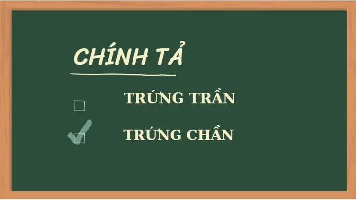 Trứng Chần Hay Trứng Trần: Sự Khác Biệt Và Lựa Chọn Tối Ưu Cho Từng Món Ăn Trứng Chần Hay Trứng Trần: Sự Khác Biệt Và Lựa Chọn Tối Ưu Cho Từng Món Ăn