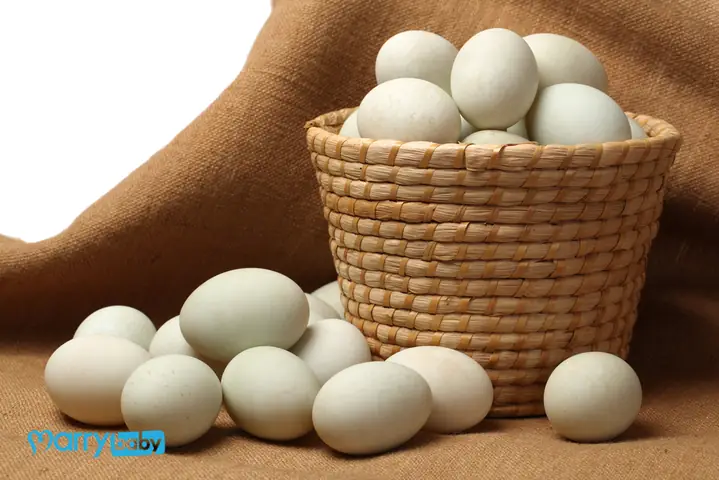 Trứng Ngan Có Tác Dụng Gì? Khám Phá Giá Trị Dinh Dưỡng Và Lợi Ích Bất Ngờ