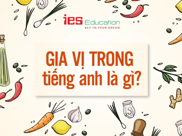 Tương Cà Tiếng Anh Là Gì? Giải Mã Định Nghĩa Và Các Thuật Ngữ Liên Quan