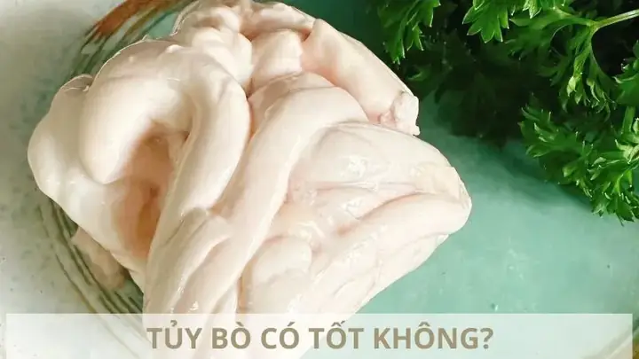 Tủy Bò Có Tác Dụng Gì? Lợi Ích, Cách Dùng Và Lưu Ý Quan Trọng