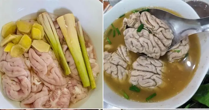 Tủy Heo Có Tác Dụng Gì? Lợi Ích, Giá Trị Dinh Dưỡng Và Cách Dùng Hiệu Quả