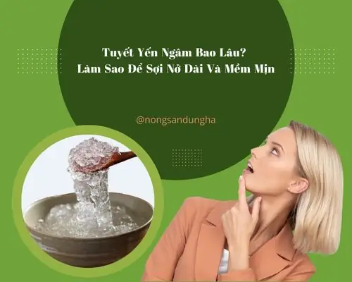 Tuyết Yến Ngâm Bao Lâu Thì Đạt Chuẩn Vị Ngọt, Dinh Dưỡng Tốt Nhất? Tuyết Yến Ngâm Bao Lâu Thì Đạt Chuẩn Vị Ngọt, Dinh Dưỡng Tốt Nhất?