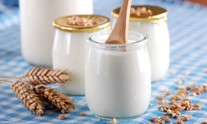 Hướng Dẫn Chi Tiết Cách Làm Sữa Chua Bằng Nồi Cơm Điện Tại Nhà