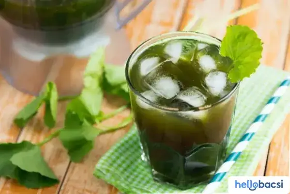 Uống Rau Má Sữa Tốt Không? Lợi Ích, Tác Hại Và Cách Dùng Đúng