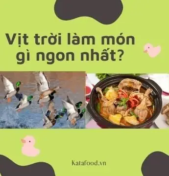 Vịt Trời Có Ngon Không? Giải Mã Hương Vị Đặc Sản Và Những Điều Bạn Chưa Biết