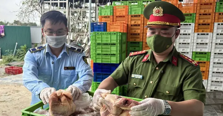 Xúc Xích Bẩn Làm Từ Gà Con: Sự Thật Đằng Sau Và Cách Nhận Biết