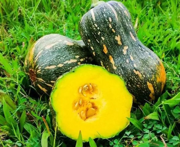 Bí đỏ tươi ngon dùng để nấu canh