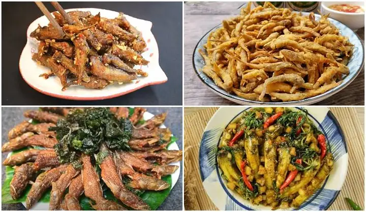 Cá Bống Biển Làm Món Gì? 7 Công Thức Ngon-bổ-rẻ Được Yêu Thích Nhất
