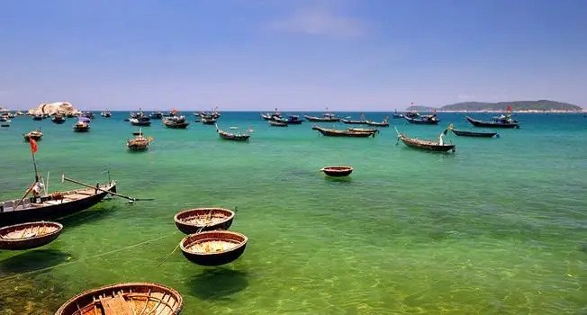 Cá cu chiên giòn rụm chấm nước mắm gừng