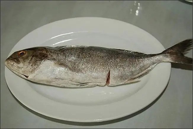 Cá cu hấp gừng hành thơm lừng