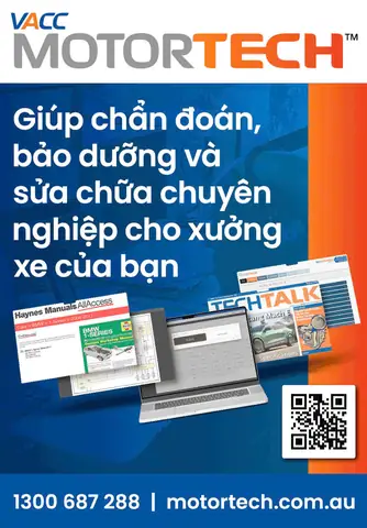Cách Nấu Cá Vược Nấu Dưa Chua Đậm Đà, Ngon Miệng