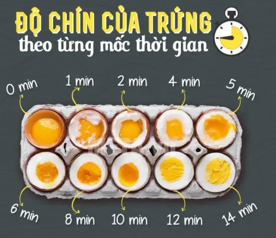 Cách Chế Biến Các Món Trứng Từ Cơ Bản Đến Nâng Cao