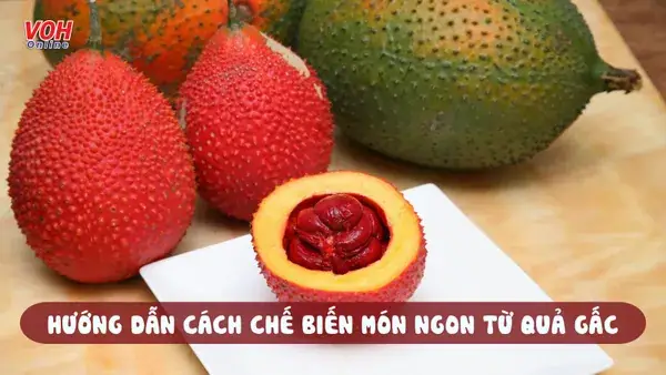 10 Cách Chế Biến Quả Gấc Đơn Giản, Ngon Miệng Tại Nhà