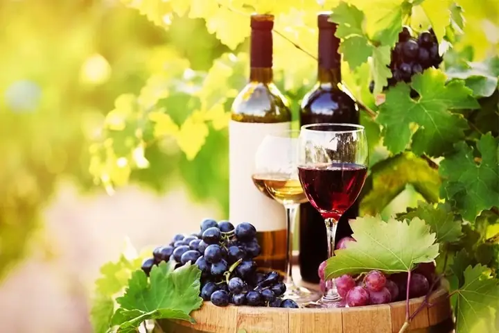 Cách Làm Rượu Nho Ngâm Đường: Từ A Đến Z Cho Người Mới