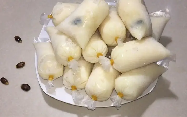 Cách Làm Sinh To Mãng Cầu Bịt Đơn Giản Tại Nhà