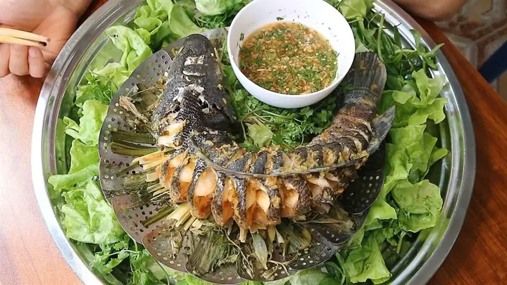 Cách Nấu Cá Lóc Ngon Nhất: 7 Món Ăn Đơn Giản Tại Nhà