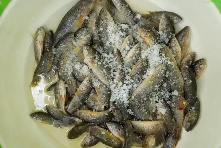 Cách Nấu Cháo Cá Rô Đồng Ngon Bổ Dưỡng Cho Bé Ăn Dặm