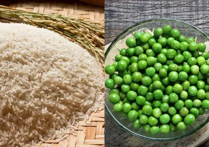 Cách Nấu Cơm Độn Đậu Thơm Ngon, Bổ Dưỡng Chuẩn Vị Gia Đình