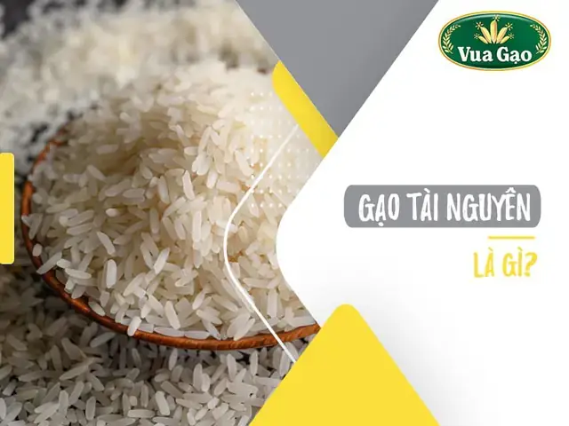 Cách Nấu Cơm Gạo Tài Nguyên Thơm Ngon, Săn Hạt Chuẩn Vị Tại Nhà