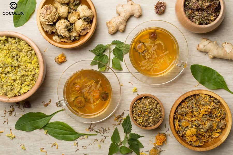 Cách nấu dầu gội thảo dược cơ bản tại nhà, đơn giản và hiệu quả