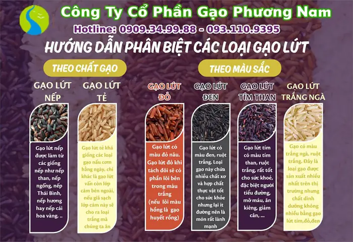 Cách Nấu Gạo Lứt Tím Than Đúng Cách