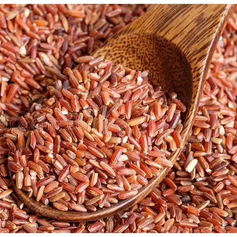 Hướng Dẫn Chi Tiết Cách Nấu Gạo Japonica Đúng Chuẩn Nhật Bản