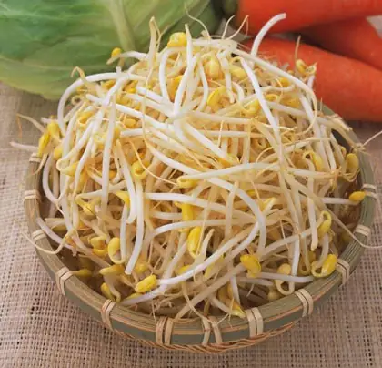 Hướng Dẫn Nấu Giá Đỗ Cho Trẻ Ăn Dặm Đơn Giản, An Toàn