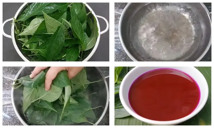 Cách Nấu Lá Cẩm Lấy Màu Tự Tại Nhà