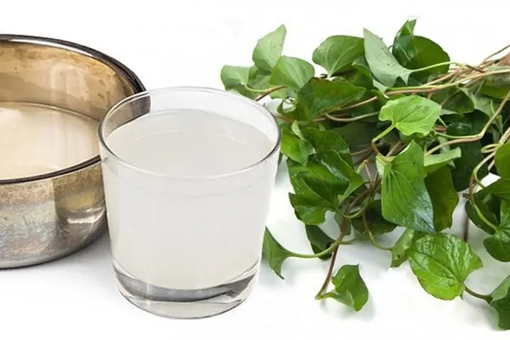 Hướng Dẫn Cách Nấu Lá Diếp Cá Với Nước Vo Gạo