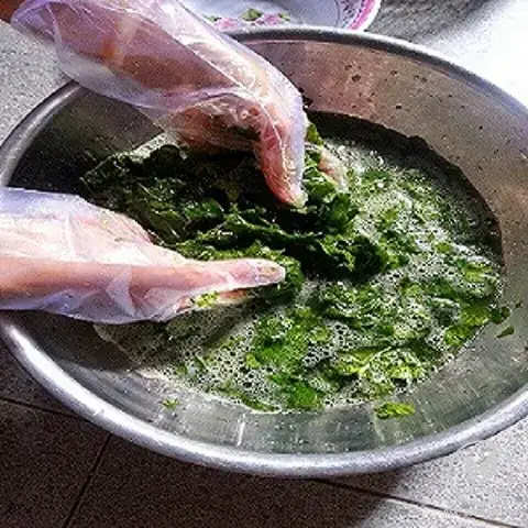 Cách Nấu Lá Sâm Nam Thành Thạch Giải Khát Chuẩn Vị Tại Nhà