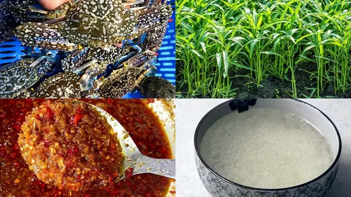 Hướng Dẫn Toàn Tập: Cách Nấu Lẩu Cua Biển Rau Muống Ngon Chuẩn Vị Tại Nhà