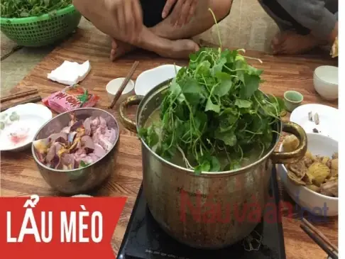 Hướng Dẫn Chi Tiết Cách Nấu Lẩu Mèo Ngon Đúng Chuẩn