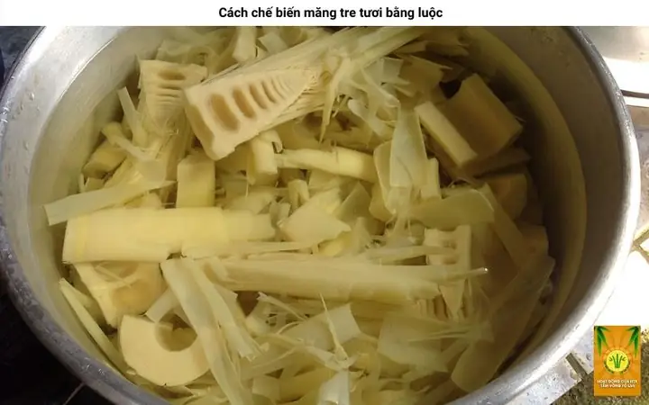 Cách Nấu Măng Tre Tươi Đúng Cách: Từ Chọn Nguyên Liệu Đến Thành Phẩm