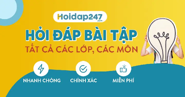 Cách Nấu Mì Quảng Chuẩn Vị: Hướng Dẫn Chi Tiết Từ A Đến Z