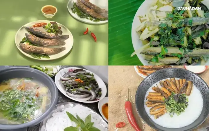 Cách Nấu Món Chạch Ngon Đậm Đà, Bổ Dưỡng Cho Gia Đình