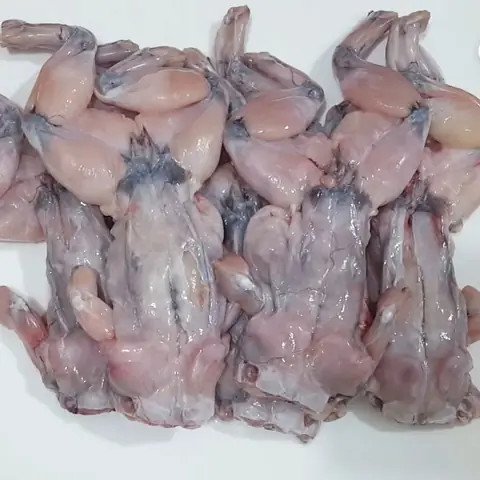 Cách Nấu Món Ếch Xào Mướp Ngon Chuẩn Vị Tại Nhà