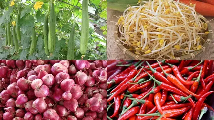 Cách Nấu Mướp Xào Giá Đỗ Giòn Ngọt, Thanh Mát Chuẩn Vị