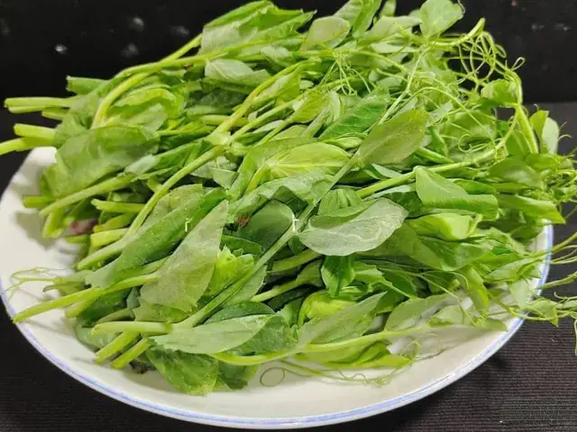 Cách Nấu Ngọn Đậu Hà Lan Từ A Đến Z: Hướng Dẫn Chi Tiết