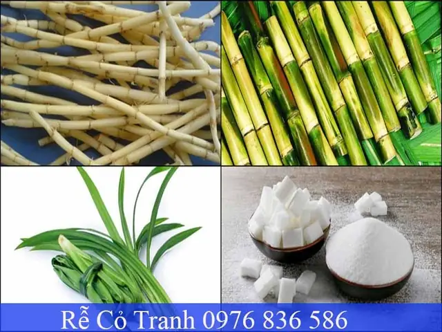 Cách Nấu Nước Mát Rễ Tranh Đơn Giản Tại Nhà