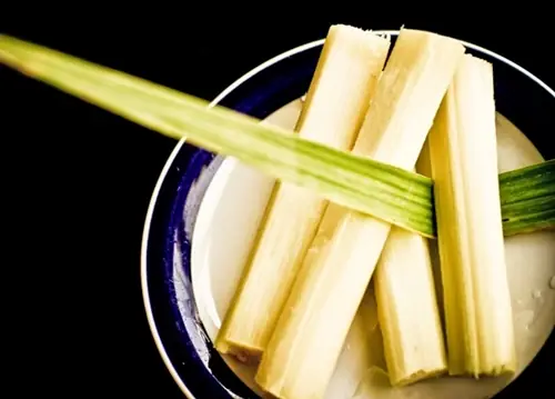 Cẩm Nang Toàn Diện Về Cách Nấu Nước Mía Cho Trẻ Ăn Dặm An Toàn Và Dinh Dưỡng