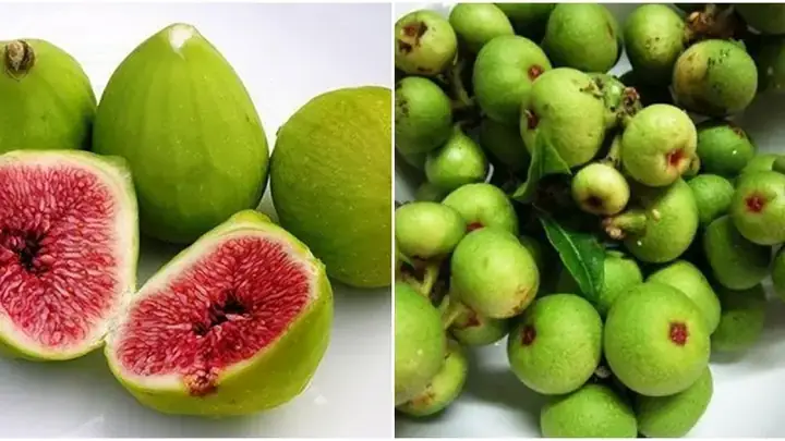 Cách Nấu Nước Trái Sung Chuẩn Vị: Từ Sơ Chế Đến Biến Tấu Sáng Tạo