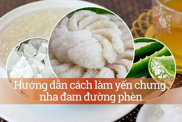 Cách Nấu Nước Yến Nha Đam Đúng Cách Từ A Đến Z