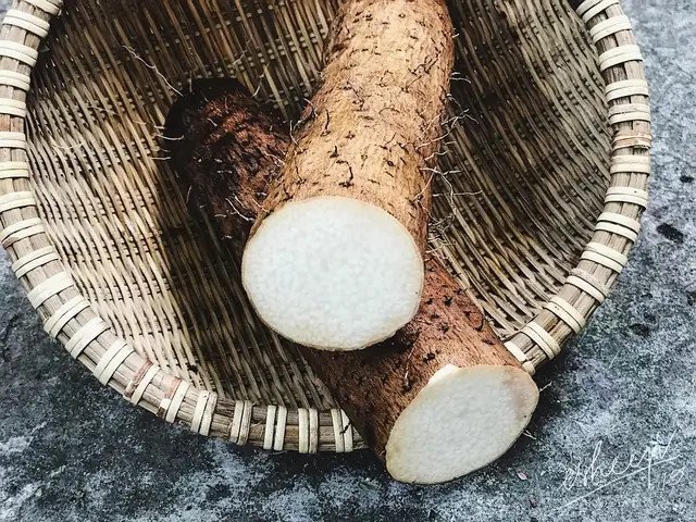 Cận cảnh củ hoài sơn tươi