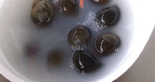 Cảnh một tô bún ốc nóng hổi với đầy đủ topping
