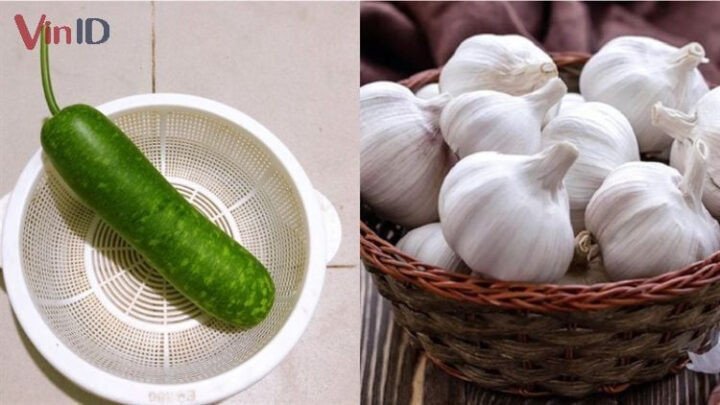 Chọn bầu tươi ngon và tỏi để chuẩn bị món bầu xào