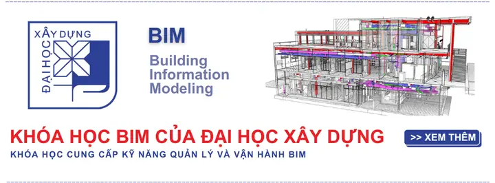 Hạt Trám Đen Dùng Để Làm Gì? Tổng Hợp Từ Ẩm Thực Đến Dược Liệu