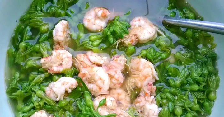 Canh Hoa Thiên Lý Nấu Tôm: Công Thức Chuẩn Vị Và Bí Quyết Từ A Đến Z
